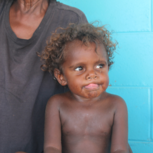 North Australian Aboriginal Family Legal Service